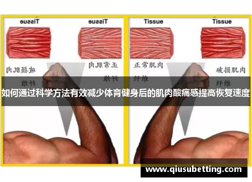 如何通过科学方法有效减少体育健身后的肌肉酸痛感提高恢复速度