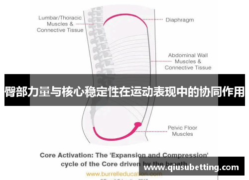 臀部力量与核心稳定性在运动表现中的协同作用
